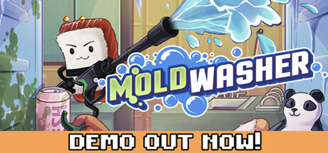 Moldwasher