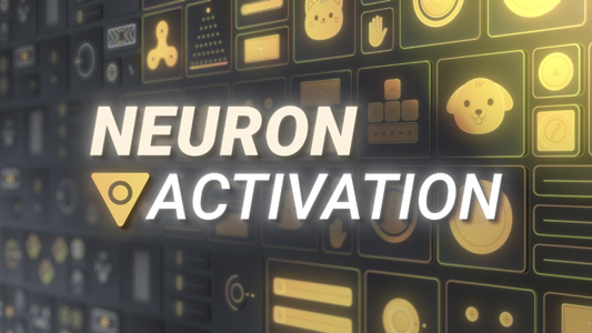 Neuron Activation